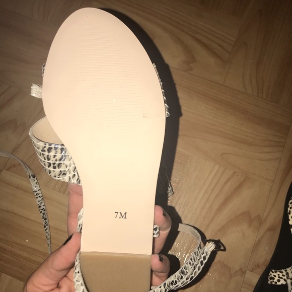 Snake print - Picture 2 of 2